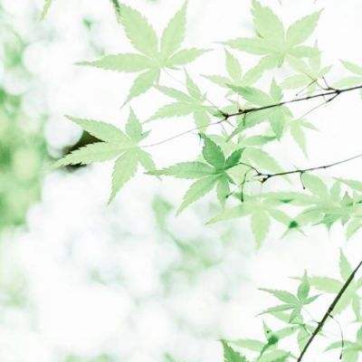 天桥音乐剧年度盛典举行：《大状王》《SIX》等剧目获奖